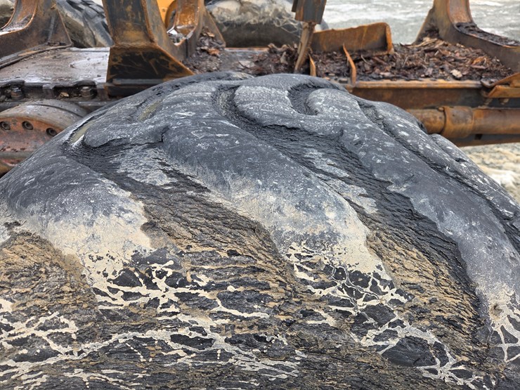 ponsse-buffalo-image-81