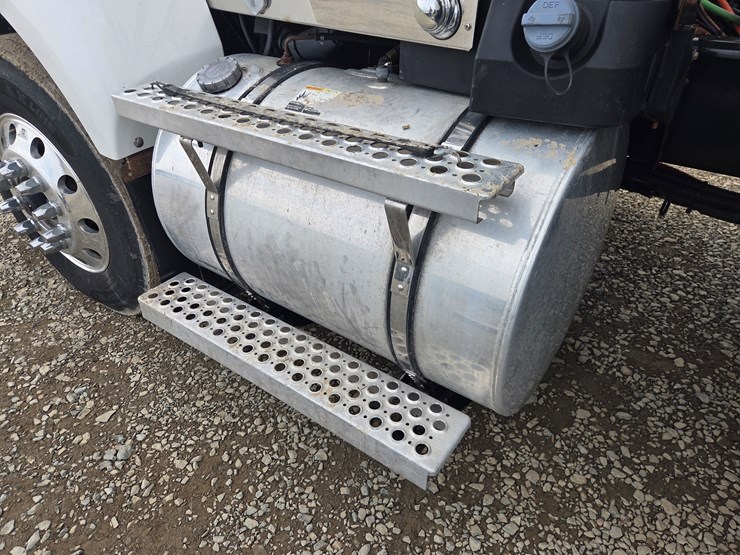 2019-tiger-8051-image-19