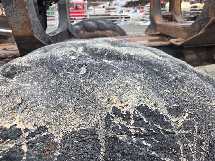 ponsse-buffalo-king-image-79