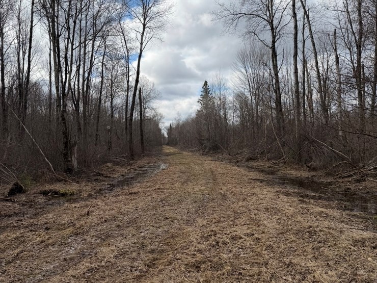 massey-ferguson-8-image-4