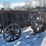 fordson-image-6