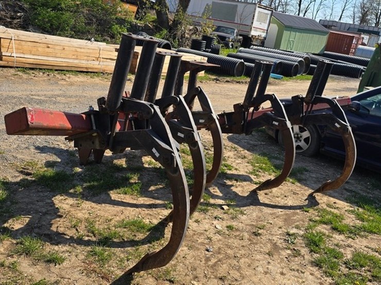 international-5-image-4