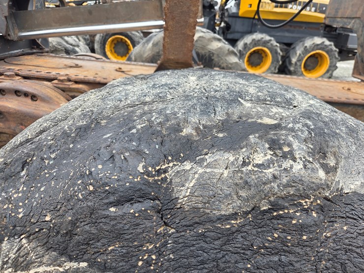 ponsse-buffalo-king-image-83