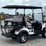 unused-2026-ce-sdlgc80-golf-cart-image-4