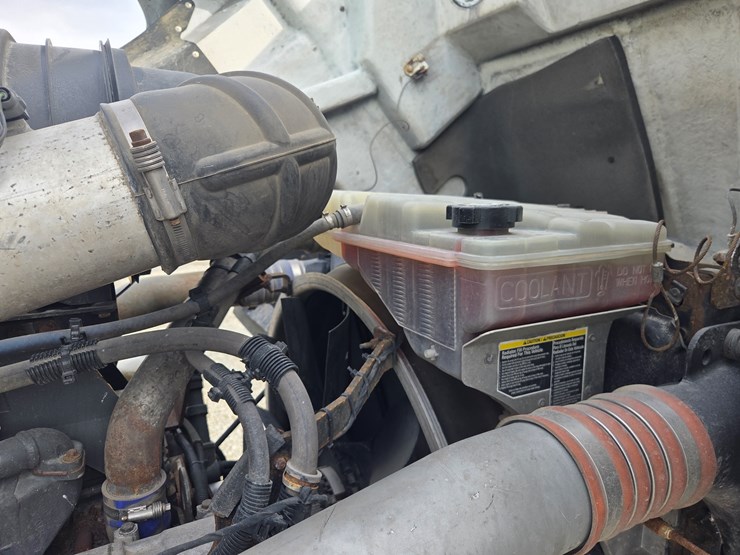 2019-tiger-8051-image-93