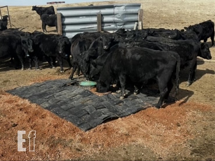 10’x12’-thermosink/stockboss-waterer-mat-2463-image-3