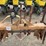 custom-3-pt-8-row-30"-cultivator-image-8