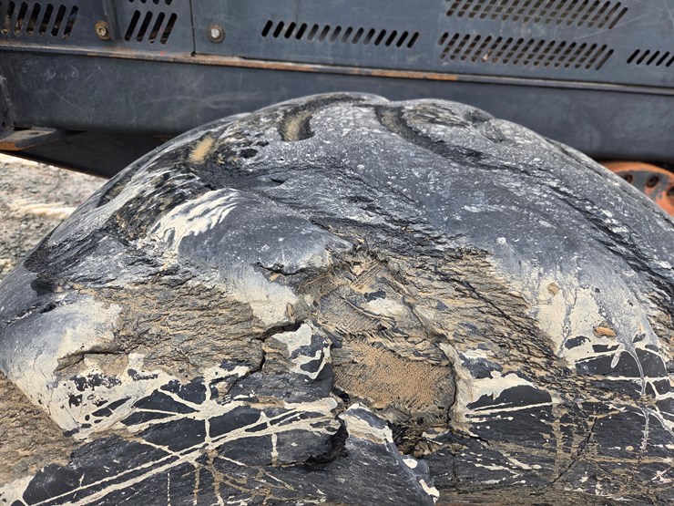 ponsse-buffalo-image-75