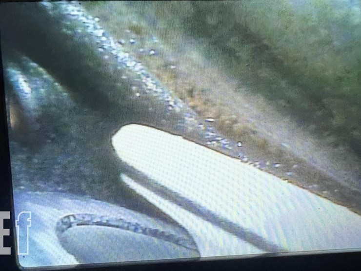 1969-1969-cessna-a188-ag-wagon-image-59