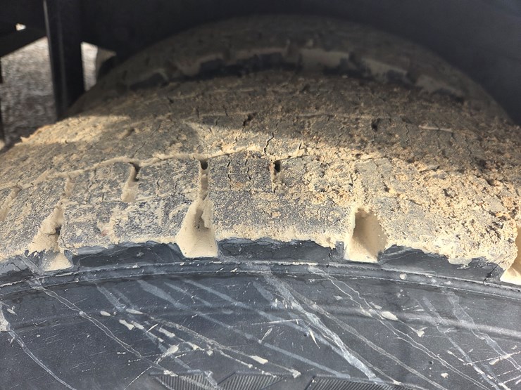 2019-tiger-8051-image-116