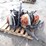 qty-of-stihl-leaf-blower(s)-image-1
