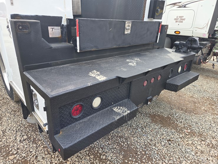 2019-tiger-8051-image-51