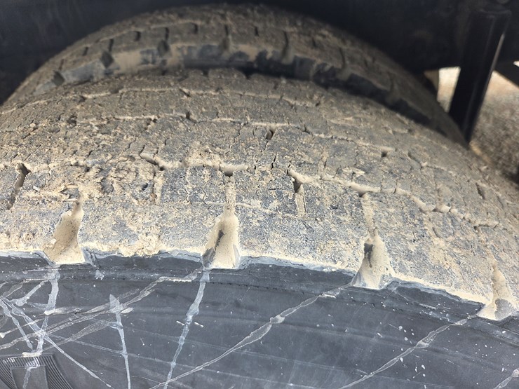 2019-tiger-8051-image-118