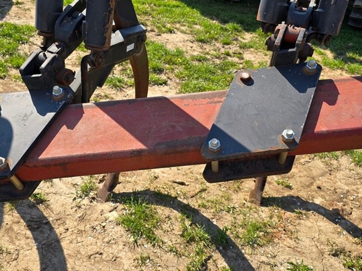 international-5-image-10