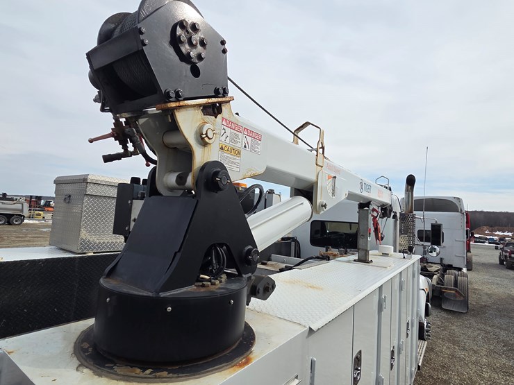 2019-tiger-8051-image-73