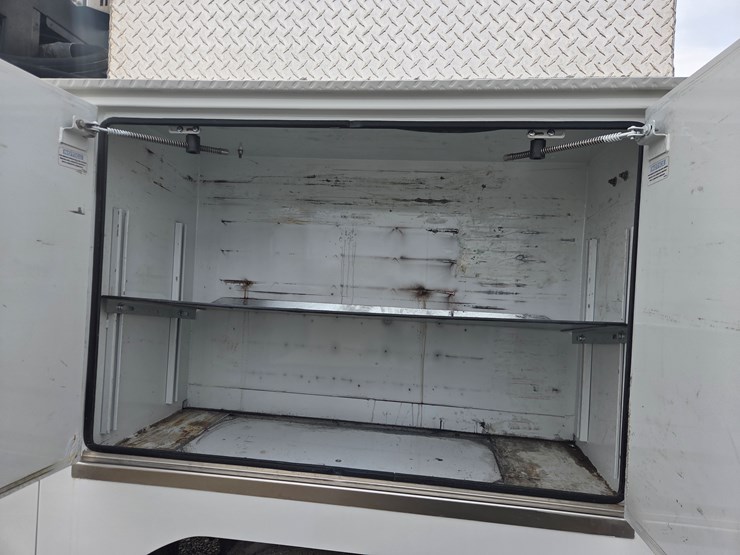 2019-tiger-8051-image-44