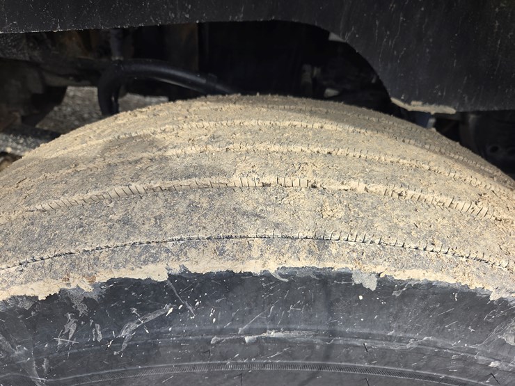 2019-tiger-8051-image-114