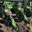 john-deere-1770-image-60