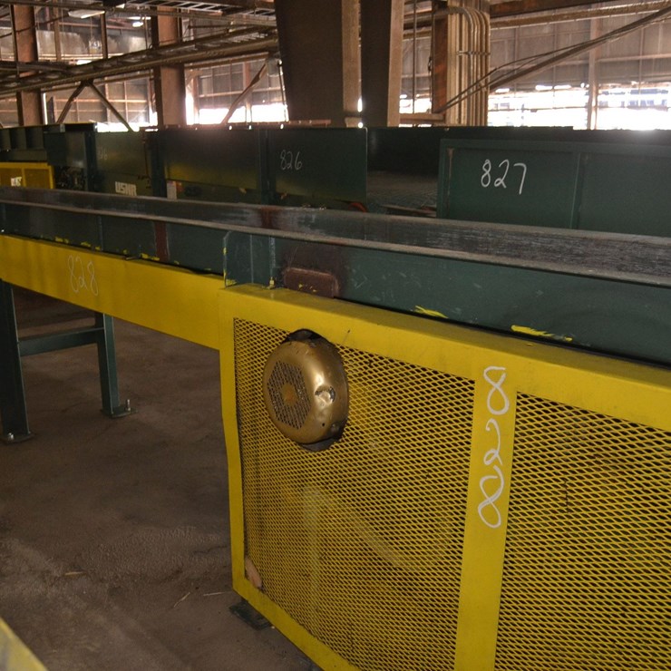 USNR 16"X52' LUMBER BELT TRANSFER W/ DRIVE