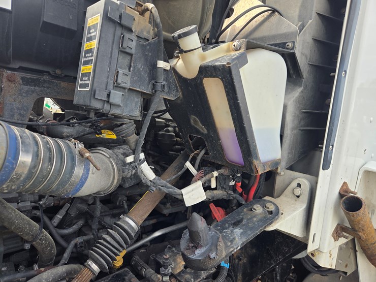 2019-tiger-8051-image-85