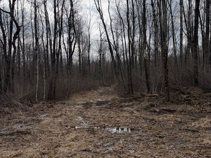 massey-ferguson-8-image-5