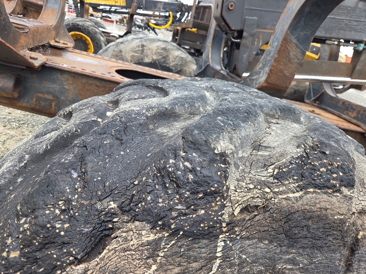 ponsse-buffalo-king-image-81