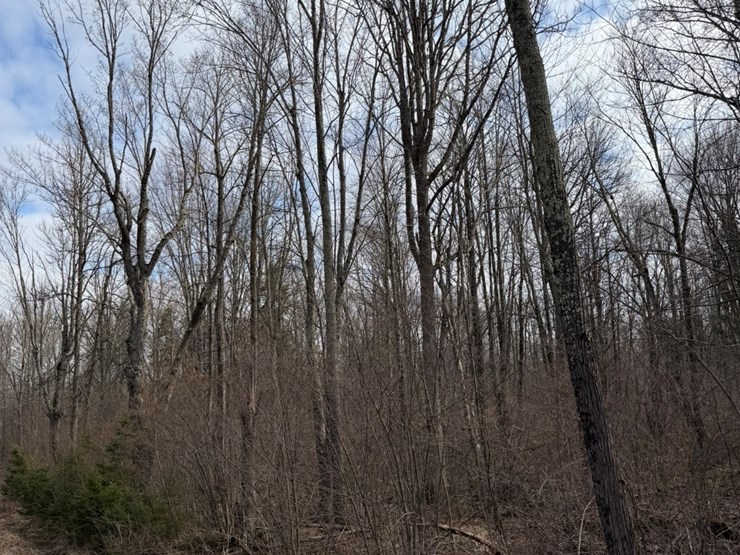 massey-ferguson-8-image-7