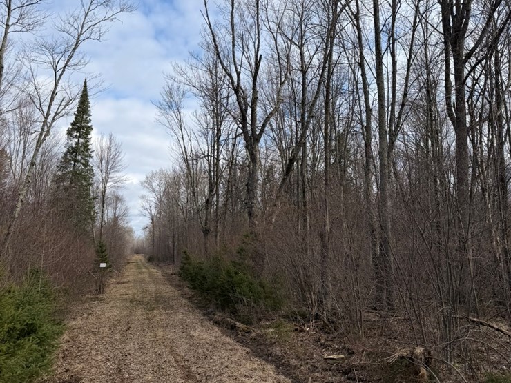 massey-ferguson-8-image-3
