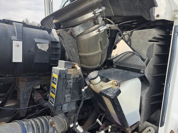 2019-tiger-8051-image-87