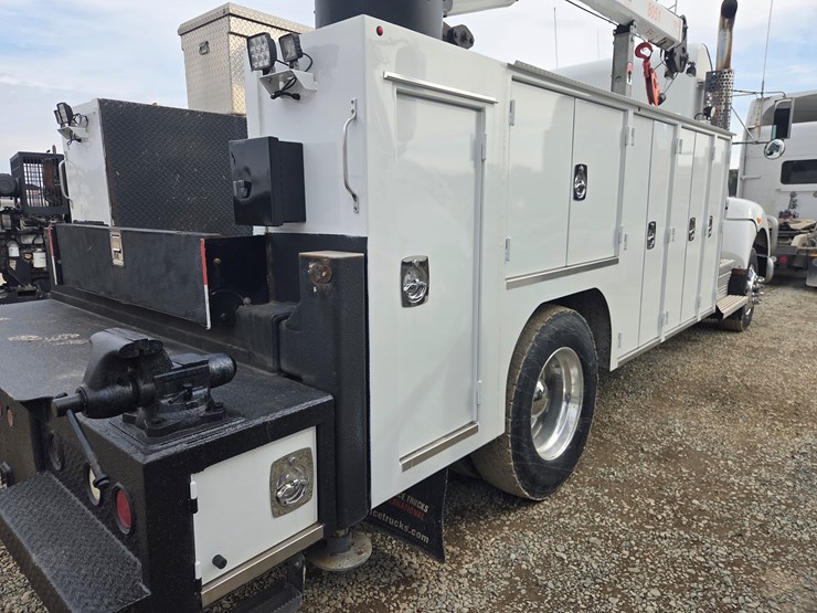 2019-tiger-8051-image-24