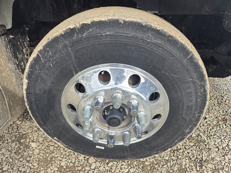 2019-tiger-8051-image-113