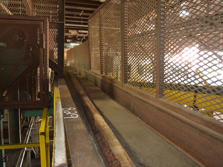 cae-16"x37'-lumber-belt-transfer-w/-drive-image-3