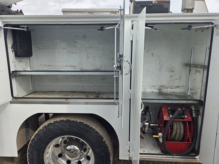 2019-tiger-8051-image-28