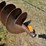 24"-auger-bit-image-2
