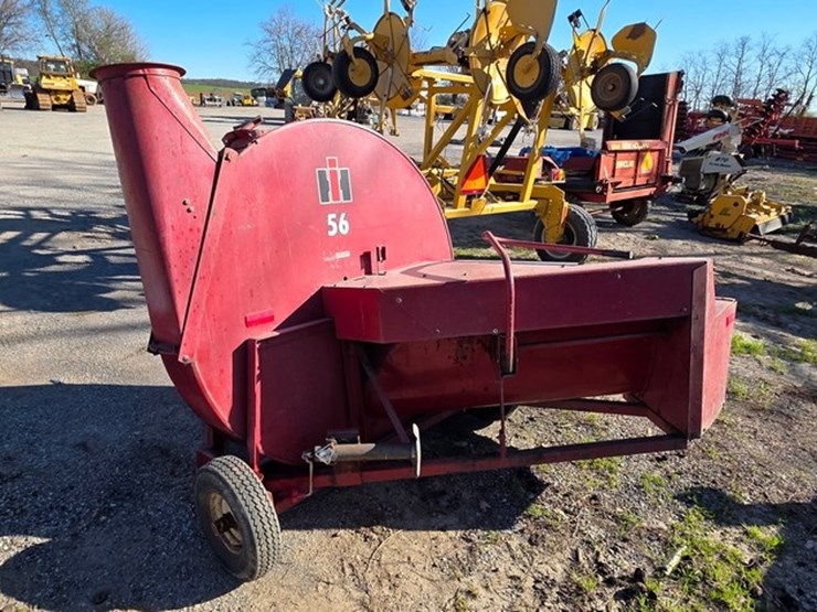 international-56-image-4