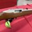 ruger-10/22-.22-lr-rifle-image-1