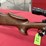 winchester-.243-win-rifle-image-3