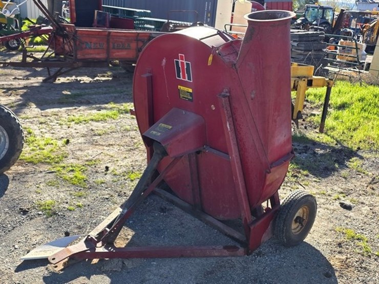 international-56-image-1