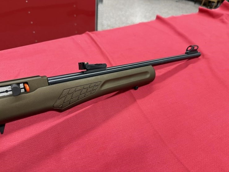 rossi-rs22-.22-lr-rifle-image-2