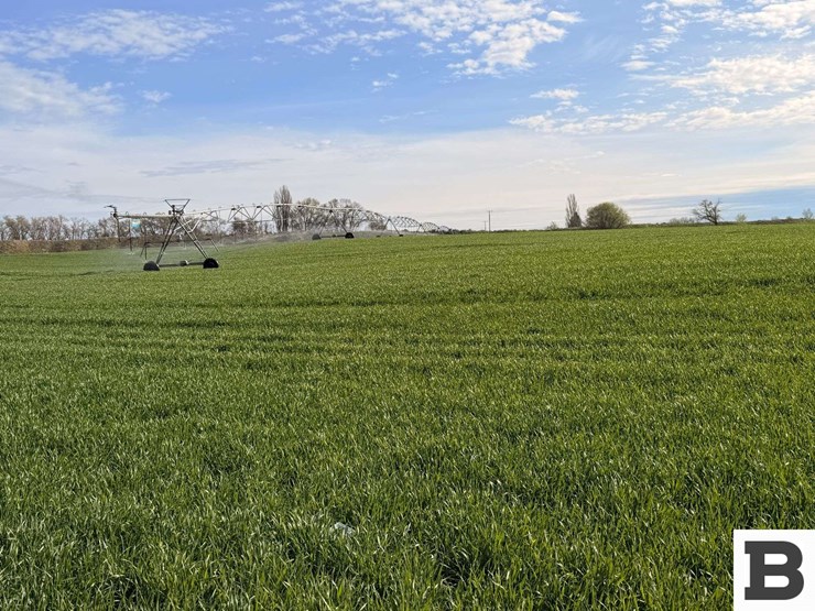 51-+/--acres-irrigated-farm-ground---adams-county,-wa-image-2