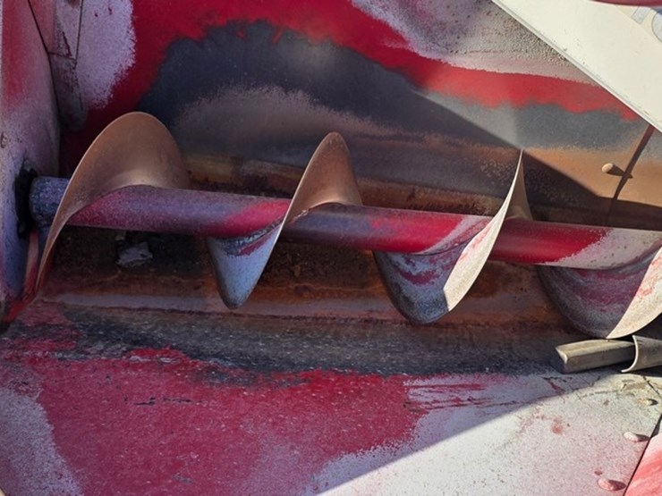 international-56-image-8