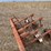 lilliston-rolling-cultivator-image-10