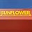 sunflower-8830-image-3