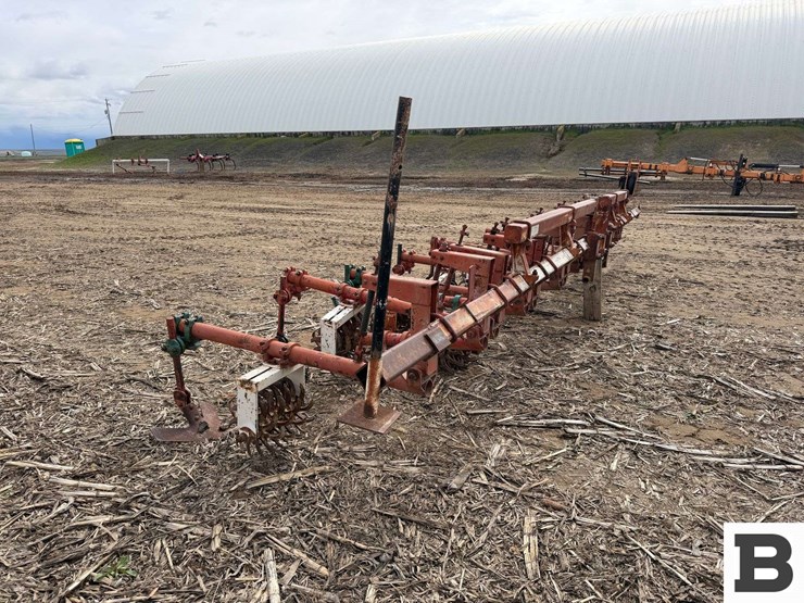 lilliston-rolling-cultivator-image-6