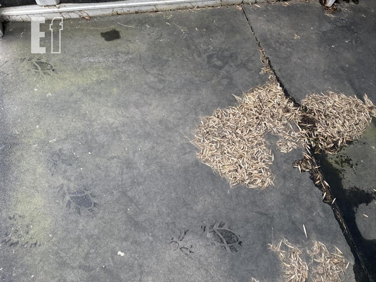 2001-featherlite-16-ft-image-32