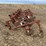 lilliston-rolling-cultivator-image-2