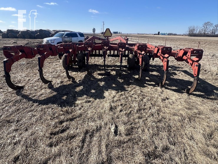 sunflower-4110-image-7