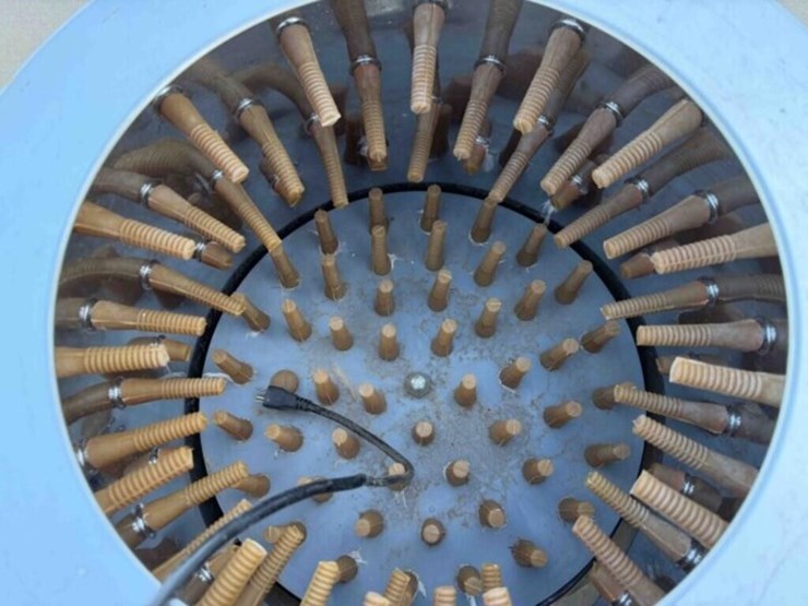 poultry-production-lot-image-4