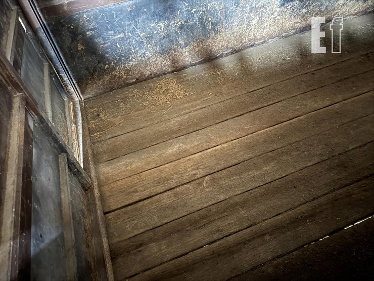 1991-titan-20-image-22