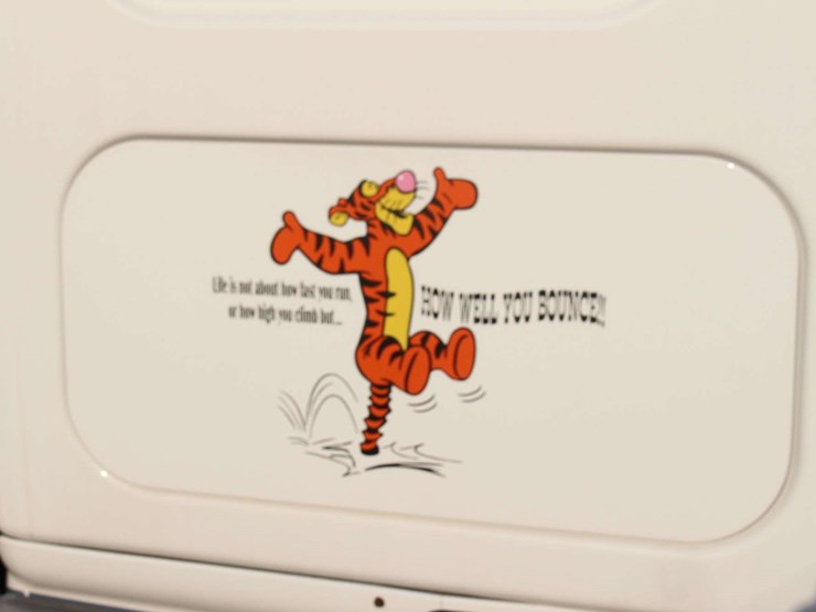 2019-freightliner-cascadia-3akjhhdr0kskr5281-mileage:-image-16